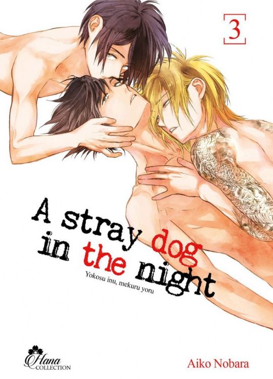 A Stray Dog in the Night Tome 03